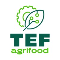 agrifoodTEF Denmark logo - Similar company to Agrifoodtef Sverige