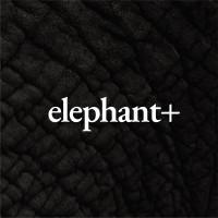 elephant+ co.,ltd. logo - Similar company to Excape Entertainment Group