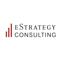 eStrategy Consulting GmbH logo - Similar company to Raw Partner