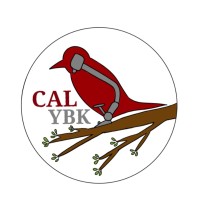 CALYBK logo - Similar company to Biocally