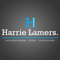Harrie Lamers logo - Similar company to 77Academy