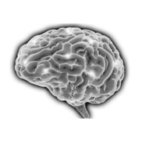 Graynomics logo - Similar company to Future Techys