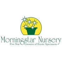 Morningstar Nursery logo - Similar company to Morning Star Nursery
