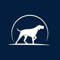 Executive Scouting logo - Similar company to Executive Scouts