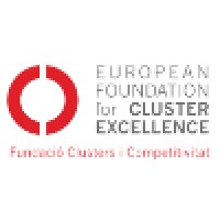 European Foundation For Cluster Excellence (Efce)