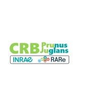 INRAE - CRB Prunus-Juglans logo - Similar company to Fruitdiv