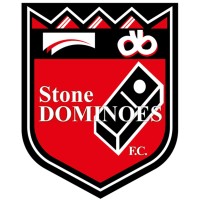 Stone Dominoes FC logo - Similar company to Pro Level Academy