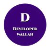 Developer Wallah logo - Similar company to Dcsce