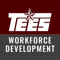 TEES Workforce Development logo - Similar company to Saber Engineering