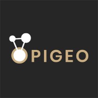 Opigeo Srl logo - Similar company to K-Inn Tech S.R.L.