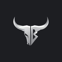 FX Bull and Bear LTD logo - Similar company to Blockmanage