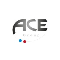 ACE Group logo - Similar company to Kibtek