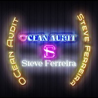 Ocean Audit Inc. logo - Similar company to Ocean Cargo Logistics Bv