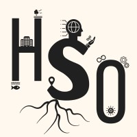 How Solopreneurs Operate logo - Similar company to The Mail Fixer