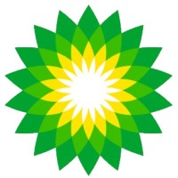 SHREE AAKASHH TRADEX - NATURAL ELEMENTS logo - Similar company to The Vcpreneur