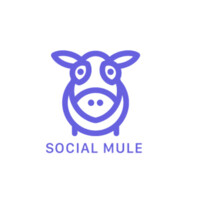 Social Mule logo - Similar company to Immpower.Pt
