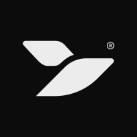 Bravo Film Company logo - Similar company to Ritmo Visual