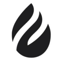 Fireside Holdings LLC logo - Similar company to Ds Projects