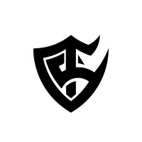Team Solid logo - Similar company to E-Flix Esports - Agencia