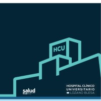 Hospital Clínico Universitario Lozano Blesa logo - Similar company to 1St Air Cavalry Brigade