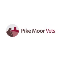 Pike Moor Vets logo - Similar company to Snout School