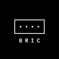 BRIC Foundation logo - Similar company to Black N Animated