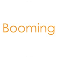 Qingdao Booming Industry & Trade Co., Ltd. logo - Similar company to Dynamic Rigging Hire