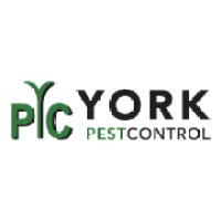 York Pest Control logo - Similar company to Pestend Pest Control Ottawa