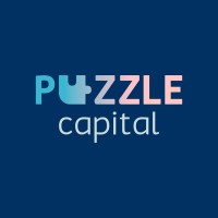 Puzzle Capital Group logo - Similar company to Digenio