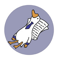 The Diplomatic Duck logo - Similar company to Democrashe