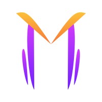 Multiverse Software logo - Similar company to Raise Solutions Private Limited