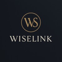 Wiselink Marketing logo - Similar company to Terminal Creativa