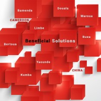 BSolutions LLC logo - Similar company to Freshers Jobs