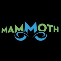 Mammoth Incorporated logo - Similar company to Plant City X