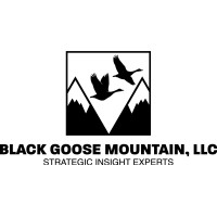 Black Goose Mountain, LLC (Consulting) logo - Similar company to Datacube Research Pvt. Ltd.