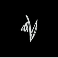 Snowdrop Creative logo - Similar company to Two Toes Creative
