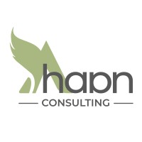 Ahaan Consulting logo - Similar company to Skillwise_Academy
