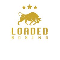 Loaded Gloves logo - Similar company to Mnex Pro Fighting Limited