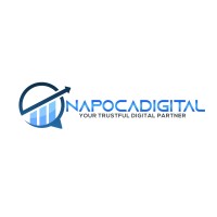 NapocaDigital logo - Similar company to Wavemyth