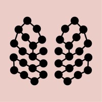 Viska AI logo - Similar company to Devyser