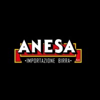 Anesa Srl logo - Similar company to Fattorini Group
