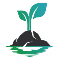 Spring Shore Capital logo - Similar company to Capstack Consulting