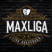MAXLIGA Warriors & MXL Promotions logo - Similar company to Maxiligas Industria E Comercio De Metais