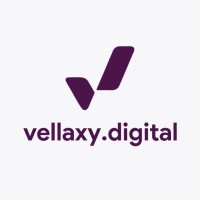 Vellaxy Digital | India’s First Social Media Branding Company logo - Similar company to Wallfe 