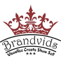 Brandvids Infotech Pvt Ltd logo - Similar company to Allhql Pvt.Ltd.
