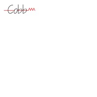 Cobb Technology logo - Similar company to Cobb Technologies