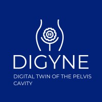 DIGYNE logo - Similar company to Noviga