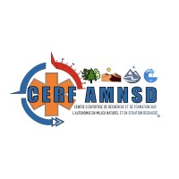 CERF AMNSD logo - Similar company to Fortitude Ei