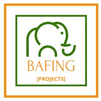 BAFING PROJECTS logo - Similar company to Nextwear Technologies