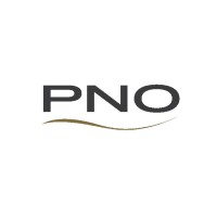 Pelican New Orleans logo - Similar company to Series Next Solutions